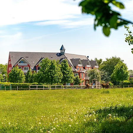 Strandhafer 3* روستوك