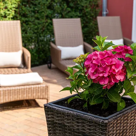 شقة فندقية Strandhafer 3*