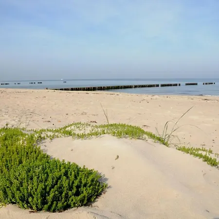 شقة فندقية Strandhafer روستوك